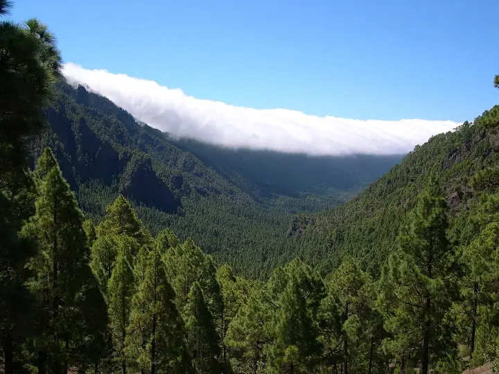 La Palma – Caldera de Taburiente